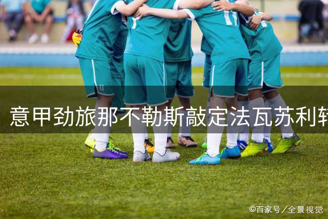 意甲劲旅那不勒斯敲定法瓦苏利转会 总价700万欧签5年长约